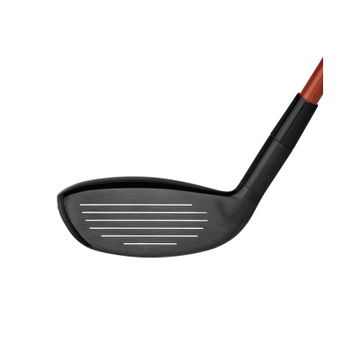 kzg_hybrids_gftour_3